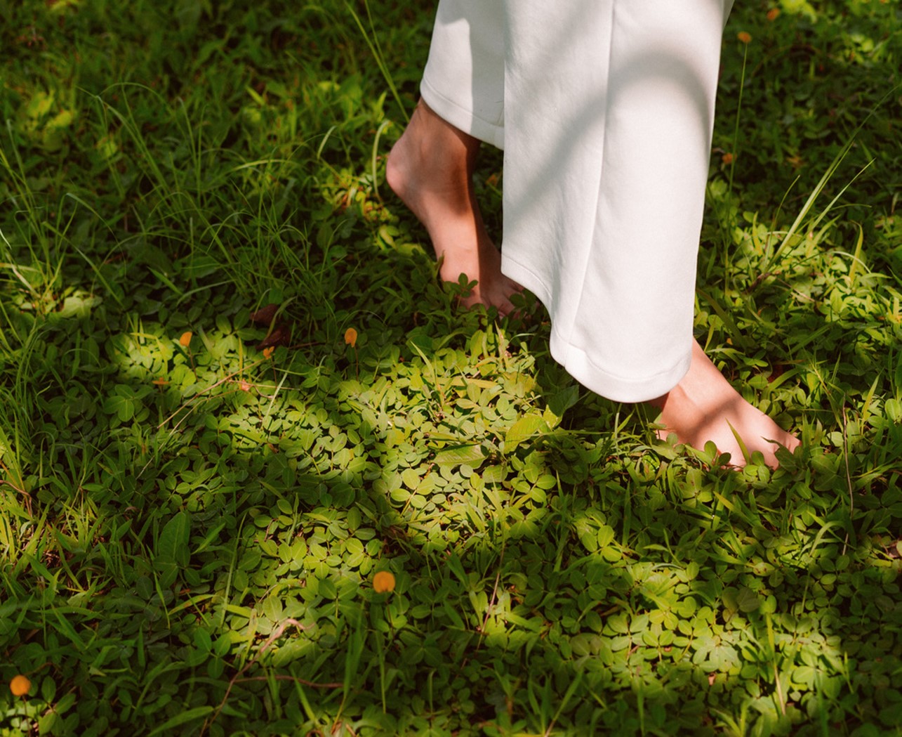 Grounding & Nature Walk